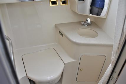 Sea Ray 380 Aft Cabin