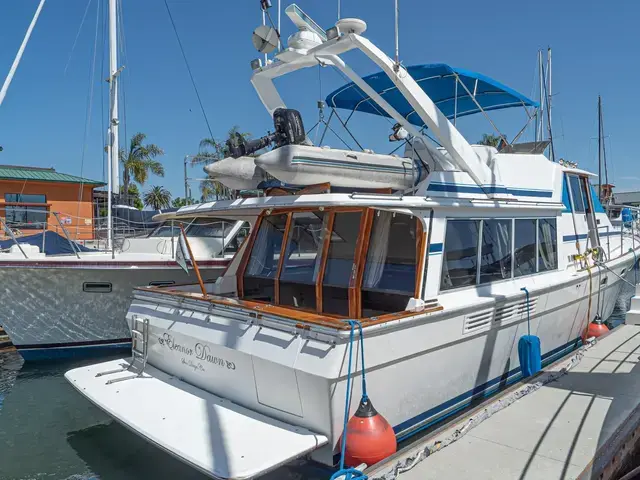 Bayliner 4550 MOTOR YACHT