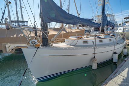 Freedom 33 Cat Ketch