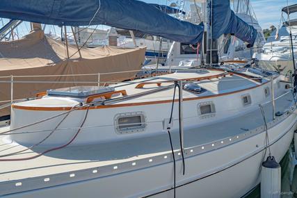 Freedom 33 Cat Ketch