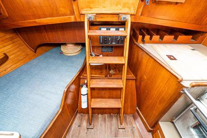 Freedom 33 Cat Ketch