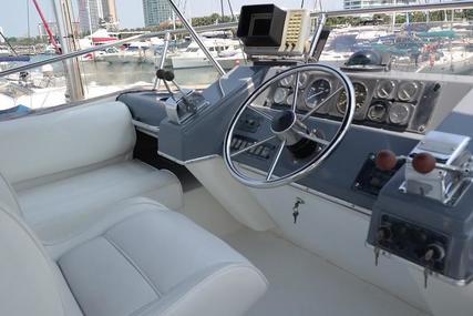 Bayliner 38 Flybridge Power Boat