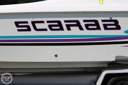 Scarab 38