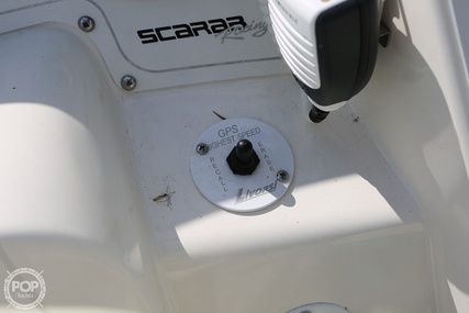 Scarab 38