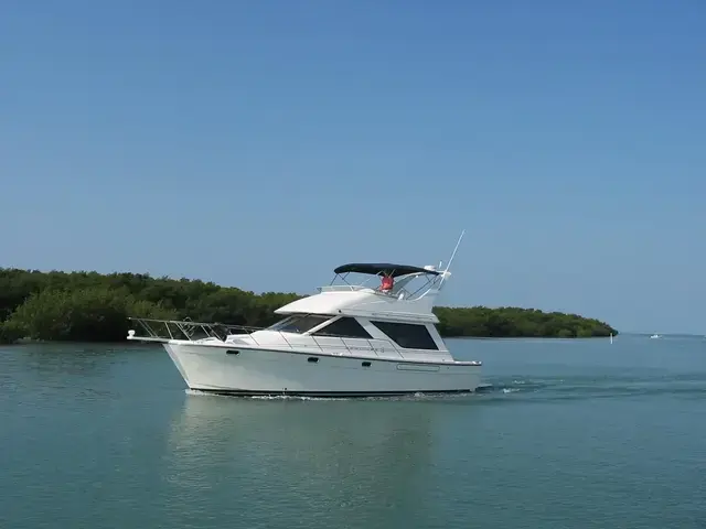 Bayliner 3988 Command Bridge Pilothouse