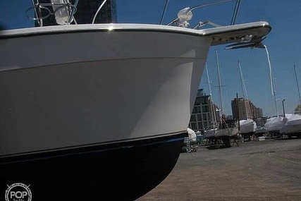 Luhrs 35 Alura