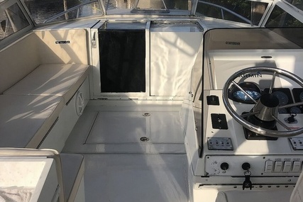 Contender 35 Side Console