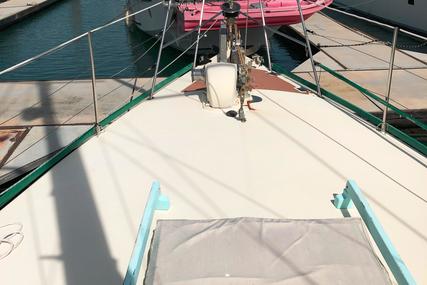 Custom Boats Sail 50ft