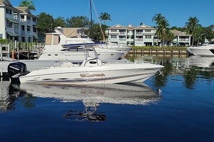 Scarab Sport 29