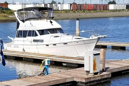 Bayliner 3888 MY