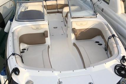 Chaparral 250 Suncoast