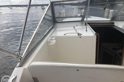 Luhrs 35 Alura