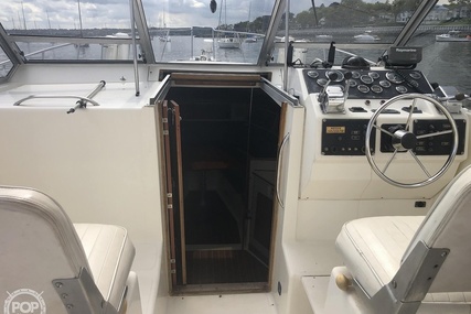 Luhrs 35 Alura