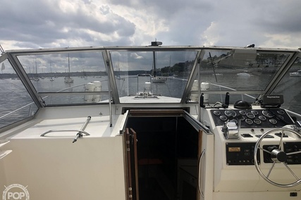 Luhrs 35 Alura