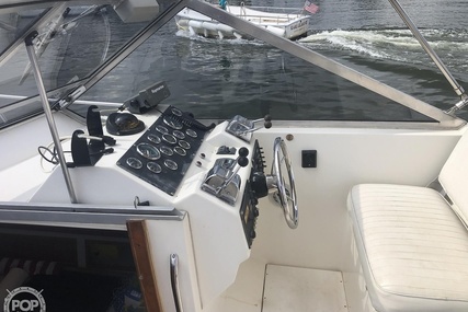 Luhrs 35 Alura