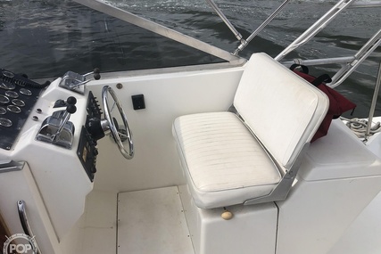 Luhrs 35 Alura