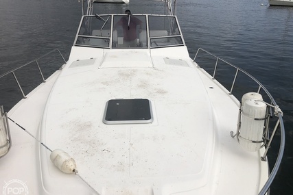 Luhrs 35 Alura