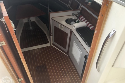 Luhrs 35 Alura