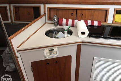 Luhrs 35 Alura