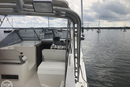 Luhrs 35 Alura