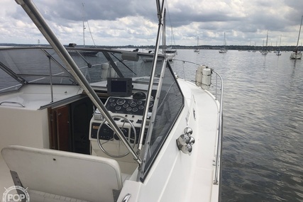 Luhrs 35 Alura