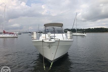 Luhrs 35 Alura