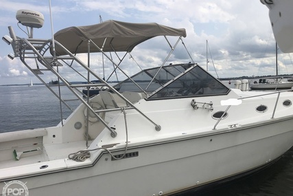 Luhrs 35 Alura