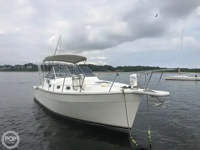 Luhrs 35 Alura