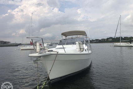 Luhrs 35 Alura