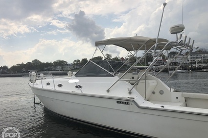 Luhrs 35 Alura