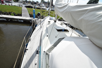 Lm Mermaid 315