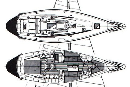 C & C 44