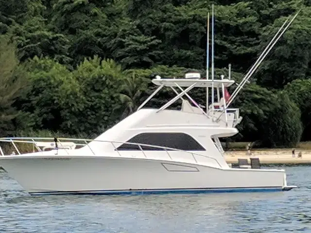 Cabo 40 Flybridge