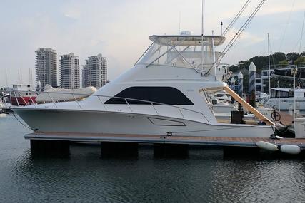 Cabo 40 Flybridge