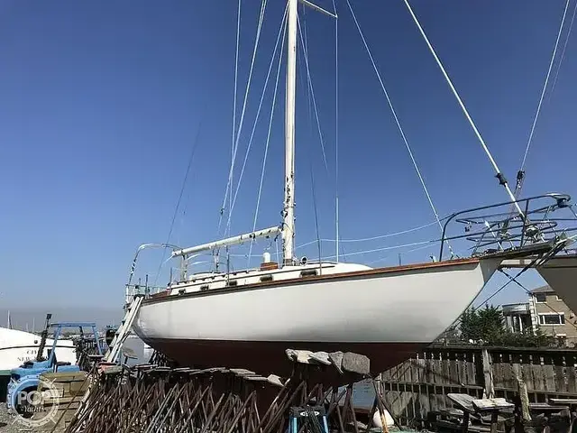 Cape Dory 36 Cutter