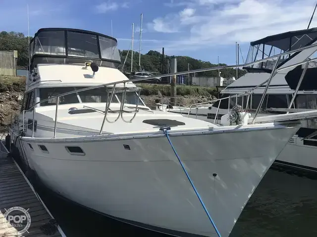 Bayliner 3888 MY