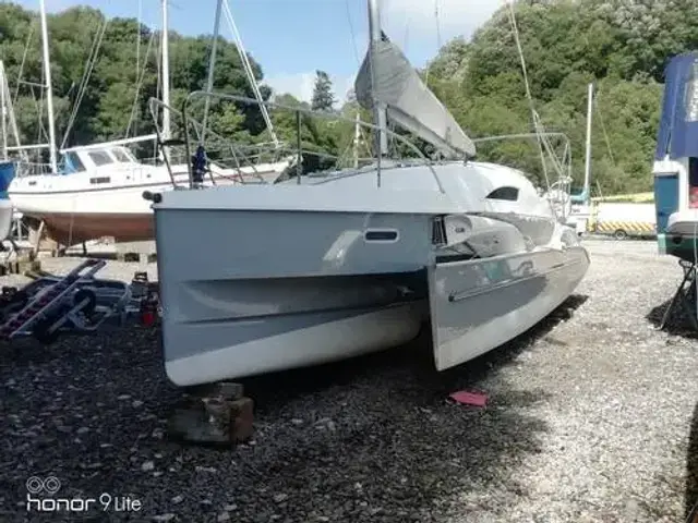 Dragonfly 28