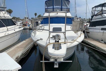 Sea Ray 390 Sedan Sportsfish