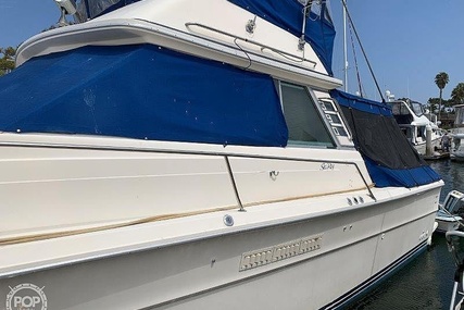 Sea Ray 390 Sedan Sportsfish