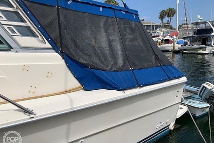 Sea Ray 390 Sedan Sportsfish