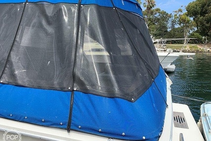 Sea Ray 390 Sedan Sportsfish