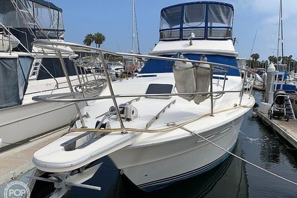 Sea Ray 390 Sedan Sportsfish