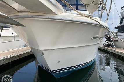 Sea Ray 390 Sedan Sportsfish