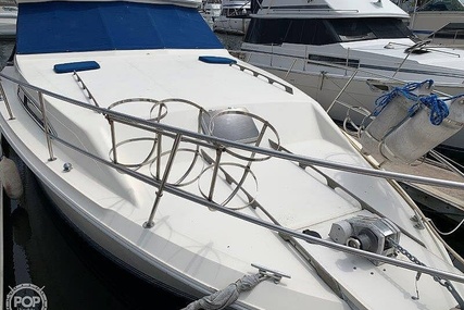 Sea Ray 390 Sedan Sportsfish