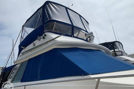 Sea Ray 390 Sedan Sportsfish