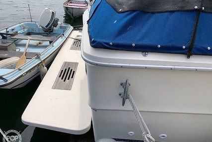 Sea Ray 390 Sedan Sportsfish