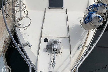 Sea Ray 390 Sedan Sportsfish