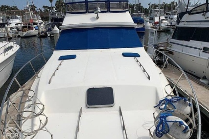 Sea Ray 390 Sedan Sportsfish