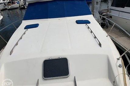 Sea Ray 390 Sedan Sportsfish