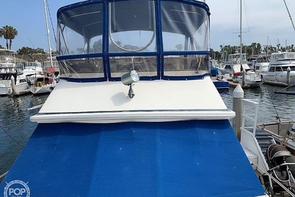 Sea Ray 390 Sedan Sportsfish